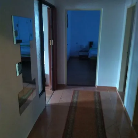 Apartman Mladic Apartment *